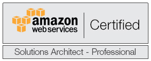 AWS Certified Solution Architect - Professional